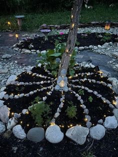 a tree with lights around it in the middle of some rocks and plants on the ground