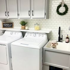 a small dog sitting in the middle of a washer and dryer