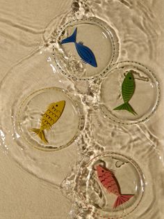 four fish are shown in the water on top of each other's bubbles,