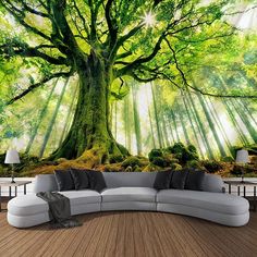 a living room with a large tree in the center and sun shining through the trees