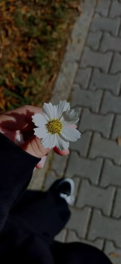 a person holding a white flower in their hand on a brick walkway next to grass