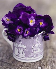 purple pansies in a white cup on a wooden table