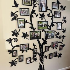 a family tree with many pictures on it