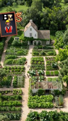 How To Build A Homestead, Communal Living Homesteads, Home Orchard Ideas, Homestead Community Layout, Eco Friendly Yard, Cozy Homestead Aesthetic, Building A Farm, European Homestead, Horticulturist Aesthetic