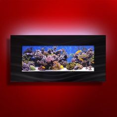 a red wall with an aquarium in it