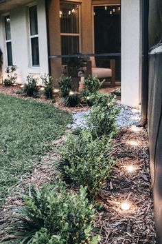 some bushes and lights in front of a house