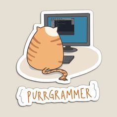 an orange cat sitting in front of a computer monitor with the words purgrammer on it