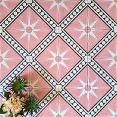 a potted plant sitting on top of a pink tiled floor next to a wall