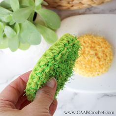 a hand holding a piece of green grass next to a white plate