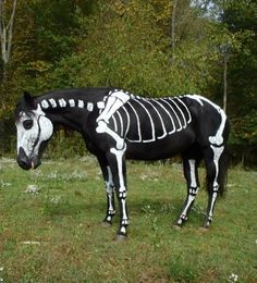 a horse is dressed up as a skeleton in a field with trees and grass behind it