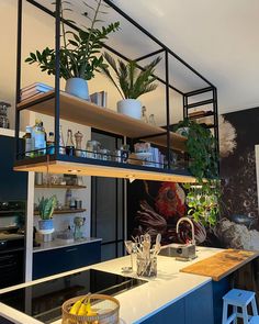 a kitchen with an island and shelves filled with plants