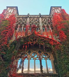 an old building covered in ivy and red flowers