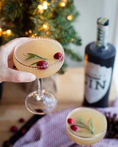 a person holding a wine glass filled with alcohol and garnished with cranberries