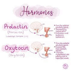 the diagram shows how to use hormones