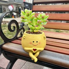 a small potted plant sitting on top of a wooden bench