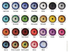 an image of different colored eyeballs in the same color scheme as well as their names