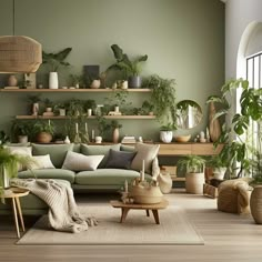 a living room filled with lots of plants and potted plants on the wall next to a couch