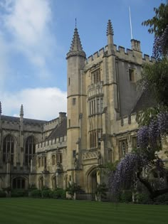 an old building with some purple flowers in the foreground