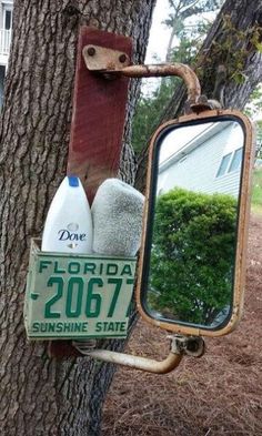 a mirror hanging on the side of a tree