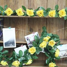 yellow roses are hanging on a clothes line with pictures and photos pinned to it's sides