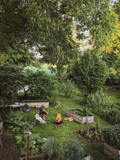 two people sitting around a fire pit in the middle of a green yard surrounded by trees