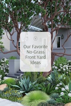 the words our favorite no - grass front yard ideas are overlaid by plants and shrubs