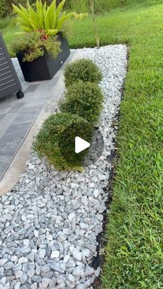 a garden with rocks and plants in it