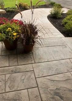 two potted plants sitting on top of a stone walkway