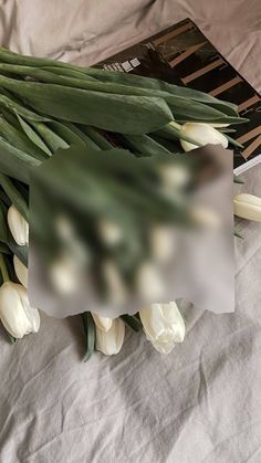 white tulips and green leaves on a sheet with a book in the background