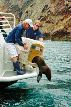 two men standing on the back of a boat with a sea lion in it's mouth