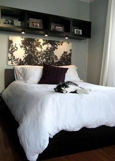 there is a bed with lights above it and a cat laying on the bed in front