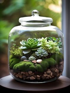 a glass jar filled with plants and rocks