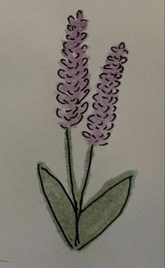 a drawing of two purple flowers with green leaves