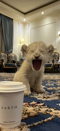 a white cup sitting on top of a blue carpet next to a stuffed animal in a living room