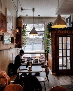 a person sitting at a table with a laptop in front of them and plants hanging from the ceiling