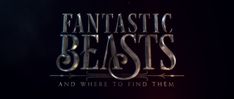 the title for fantastic beasts and where to find them, written in silver on a black background