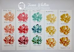 four different colors of flowers are shown in the same color scheme, each with their own name