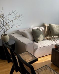 a living room filled with furniture and a tree in the corner on top of a hard wood floor