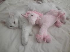 a cat laying on top of a white bed next to a pink stuffed animal that looks like a unicorn