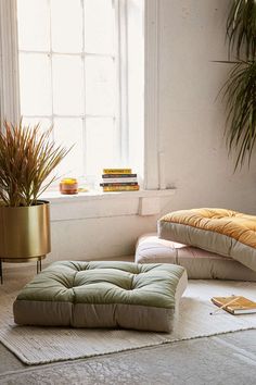 a living room with a window, rug and potted plants