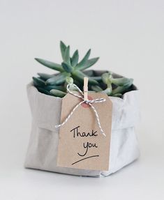 a small potted plant with a thank you tag attached to it