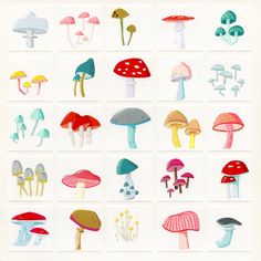 an illustration of many different types of mushrooms