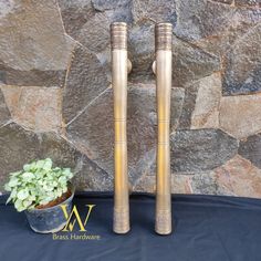 two golden bamboo poles are next to a potted plant