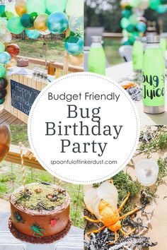 a bug birthday party with balloons, cake and decorations on the table in front of it