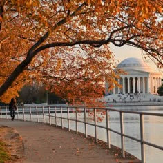 a person walking on a path next to the water with trees in front of it