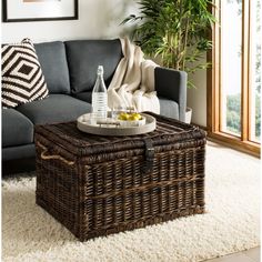 a living room with a couch, coffee table and potted plant