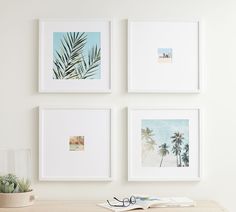 three framed pictures hang on the wall above a desk with a plant and glasses next to it