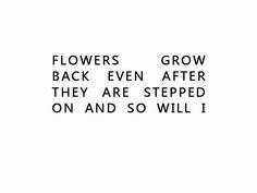 the words flowers grow back even after they are stepped on and so will i?