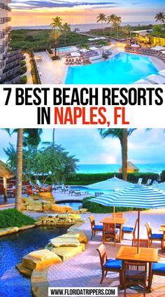 7 Best Beach Resorts In Naples, FL Disney Beach Club Resort, Beaches Resorts, Florida Travel Guide, Florida Weather, North America Travel Destinations, Vacation Locations