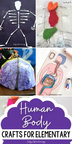 the human body crafts for elementary and middle school kids are great to do with their own hands